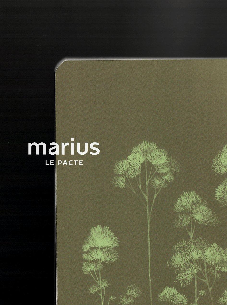 alinea lance le Pacte Marius