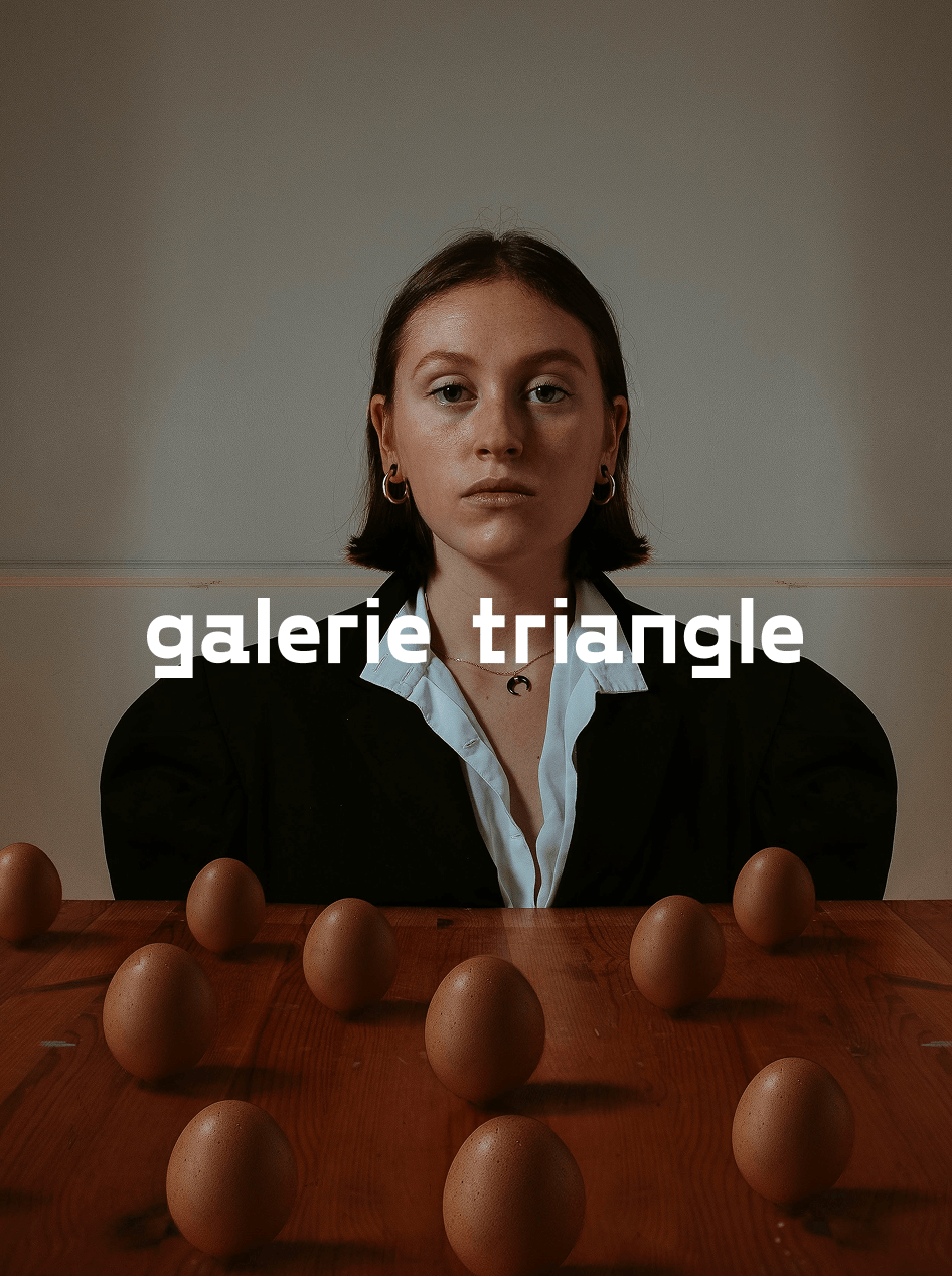Galerie Triangle - Identité et design d'une galerie photo en ligne